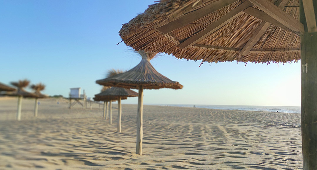 Bosque de Mar Azul - Disfrutalo desde Akina Casa de Playa